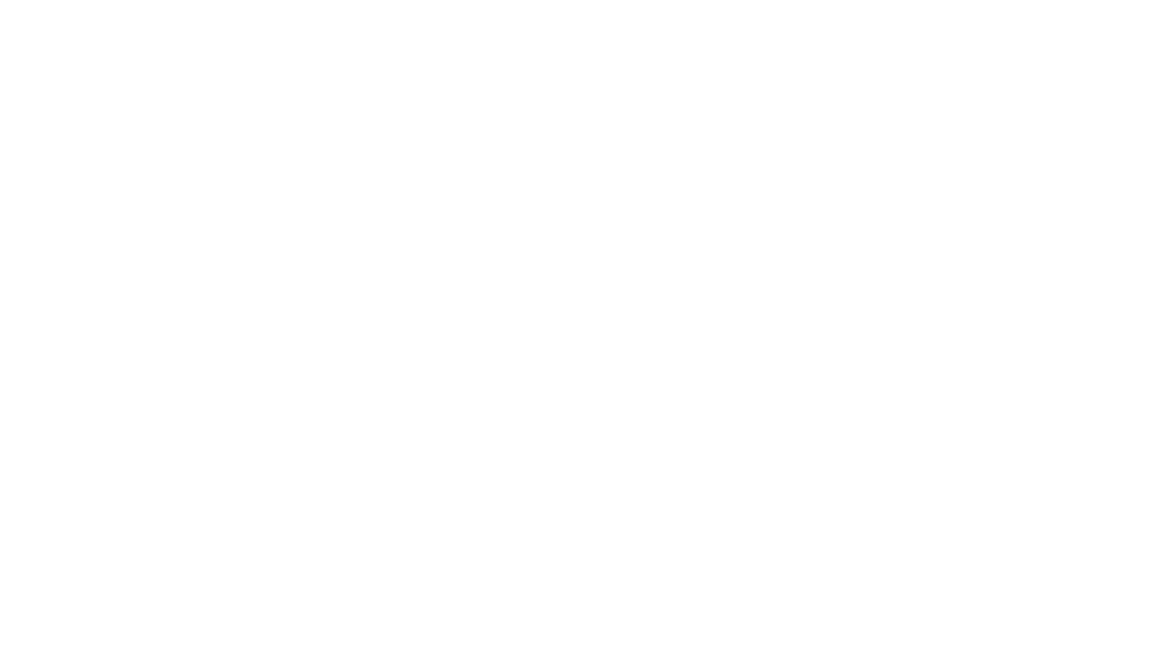 STRIDES OF FAITH